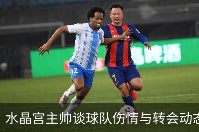 水晶宫主帅谈球队伤情与转会动态